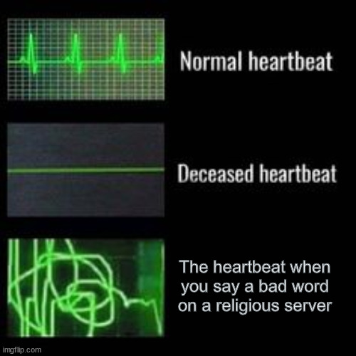 Weird Heartbeat | The heartbeat when you say a bad word on a religious server | image tagged in weird heartbeat | made w/ Imgflip meme maker