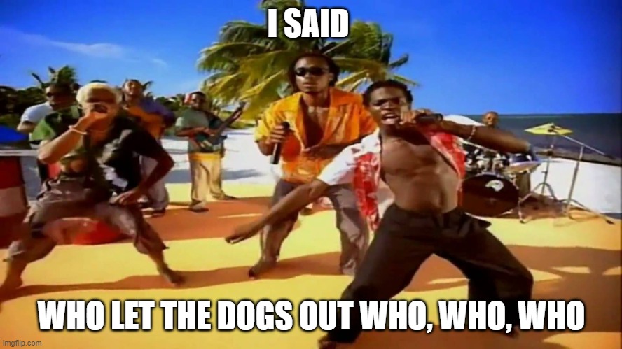 Who let the dogs out  | I SAID; WHO LET THE DOGS OUT WHO, WHO, WHO | image tagged in who let the dogs out | made w/ Imgflip meme maker