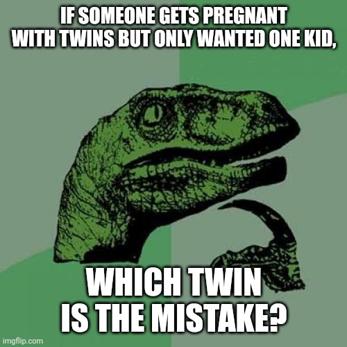 Twins | IF SOMEONE GETS PREGNANT WITH TWINS BUT ONLY WANTED ONE KID, WHICH TWIN IS THE MISTAKE? | image tagged in memes,philosoraptor,twins,mistake | made w/ Imgflip meme maker