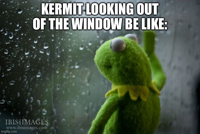 kermit window | KERMIT LOOKING OUT OF THE WINDOW BE LIKE: | image tagged in kermit window | made w/ Imgflip meme maker