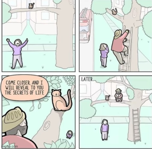 image tagged in comics | made w/ Imgflip meme maker