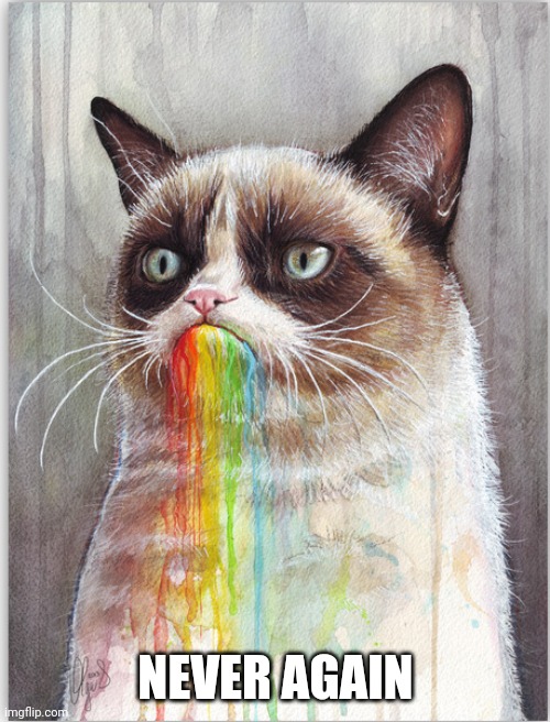 GRUMPY CAT EATS RAINBOWS | NEVER AGAIN | image tagged in grumpy cat eats rainbows | made w/ Imgflip meme maker
