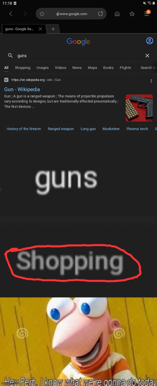 I know what we're gonna shop today | image tagged in hey ferb,guns,google,google search,funny,lol so funny | made w/ Imgflip meme maker