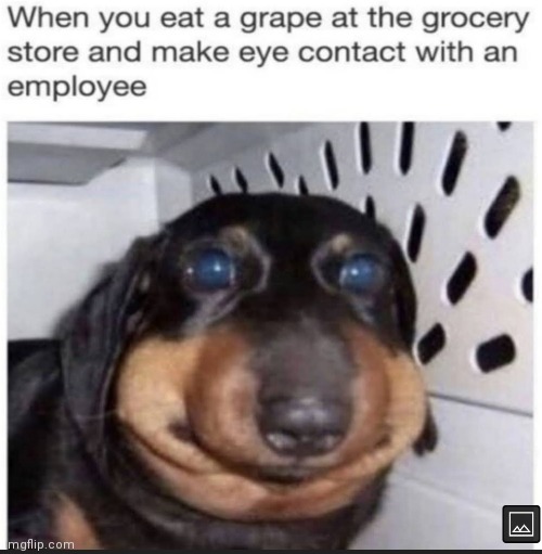 image tagged in memes,grapes,employees | made w/ Imgflip meme maker
