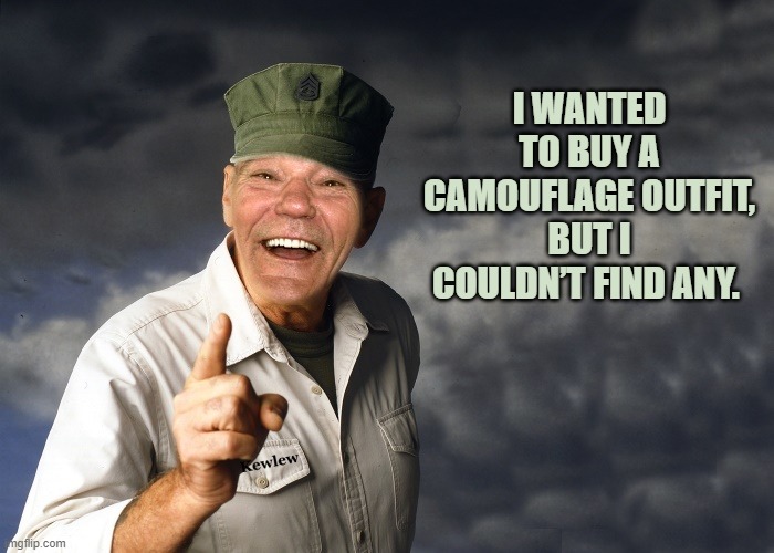 lew joke | I WANTED TO BUY A CAMOUFLAGE OUTFIT, BUT I COULDN’T FIND ANY. | image tagged in kewlew,jokes | made w/ Imgflip meme maker