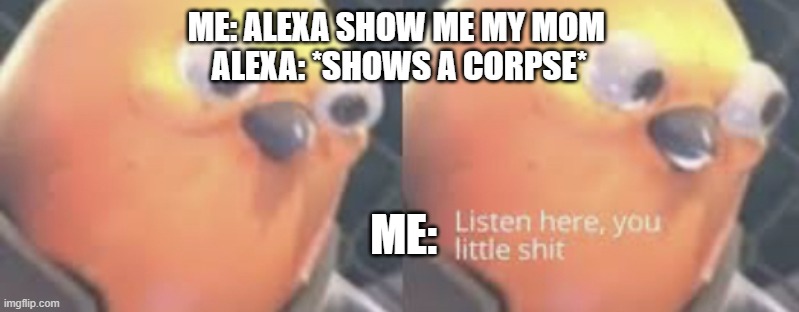 You fuqing- |  ME: ALEXA SHOW ME MY MOM 
ALEXA: *SHOWS A CORPSE*; ME: | image tagged in listen here you little shit bird,dont ever do this | made w/ Imgflip meme maker