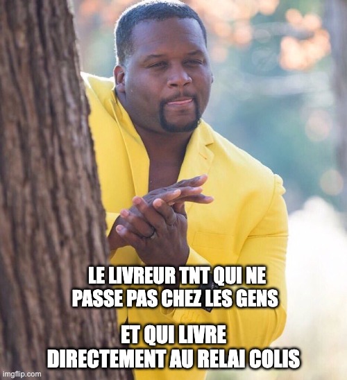 Black guy hiding behind tree | LE LIVREUR TNT QUI NE PASSE PAS CHEZ LES GENS; ET QUI LIVRE DIRECTEMENT AU RELAI COLIS | image tagged in black guy hiding behind tree | made w/ Imgflip meme maker