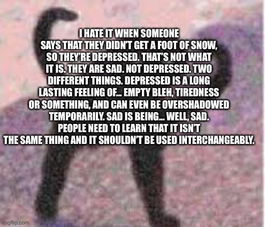 It annoys me so much. It is not the same thing! | I HATE IT WHEN SOMEONE SAYS THAT THEY DIDN’T GET A FOOT OF SNOW, SO THEY’RE DEPRESSED. THAT’S NOT WHAT IT IS. THEY ARE SAD. NOT DEPRESSED. TWO DIFFERENT THINGS. DEPRESSED IS A LONG LASTING FEELING OF… EMPTY BLEH, TIREDNESS OR SOMETHING, AND CAN EVEN BE OVERSHADOWED TEMPORARILY. SAD IS BEING… WELL, SAD. PEOPLE NEED TO LEARN THAT IT ISN’T THE SAME THING AND IT SHOULDN’T BE USED INTERCHANGEABLY. | image tagged in inner angery | made w/ Imgflip meme maker