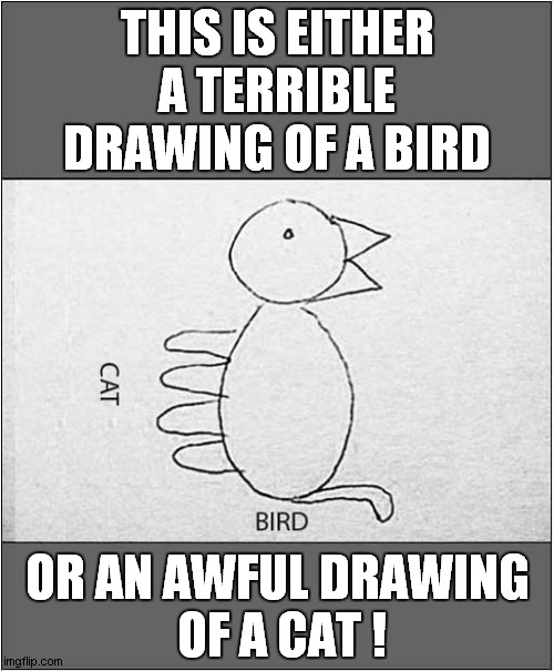 You Decide ! | THIS IS EITHER A TERRIBLE DRAWING OF A BIRD; OR AN AWFUL DRAWING
 OF A CAT ! | image tagged in you decide,drawing,cat,bird | made w/ Imgflip meme maker