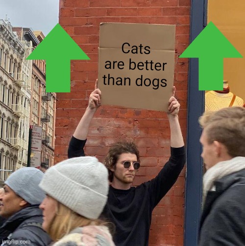 who loves cat? | Cats are better than dogs | image tagged in memes,guy holding cardboard sign | made w/ Imgflip meme maker