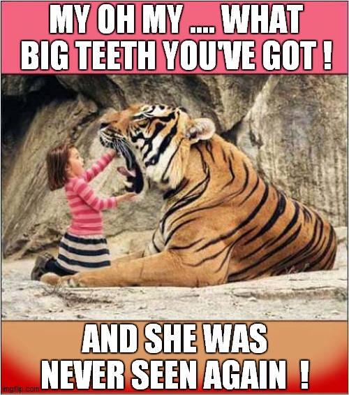 More Fun At The Zoo | MY OH MY .... WHAT BIG TEETH YOU'VE GOT ! AND SHE WAS NEVER SEEN AGAIN  ! | image tagged in zoo,tiger,eaten alive,dark humour | made w/ Imgflip meme maker