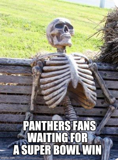 Waiting Skeleton Meme | WAITING FOR A SUPER BOWL WIN; PANTHERS FANS | image tagged in memes,waiting skeleton | made w/ Imgflip meme maker