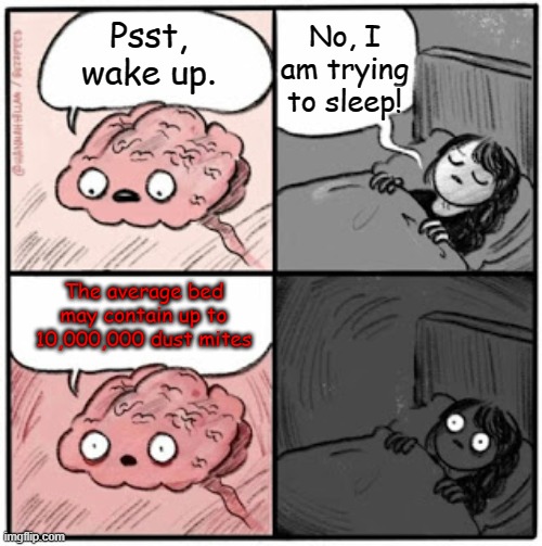 Factz | No, I am trying to sleep! Psst, wake up. The average bed may contain up to 10,000,000 dust mites | image tagged in brain before sleep | made w/ Imgflip meme maker