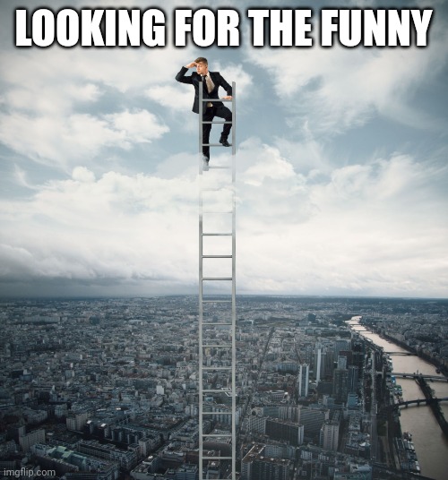 searching | LOOKING FOR THE FUNNY | image tagged in searching | made w/ Imgflip meme maker