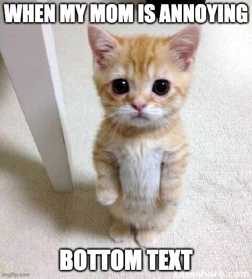 When your mom's annoying... | WHEN MY MOM IS ANNOYING; BOTTOM TEXT | image tagged in memes,cute cat | made w/ Imgflip meme maker