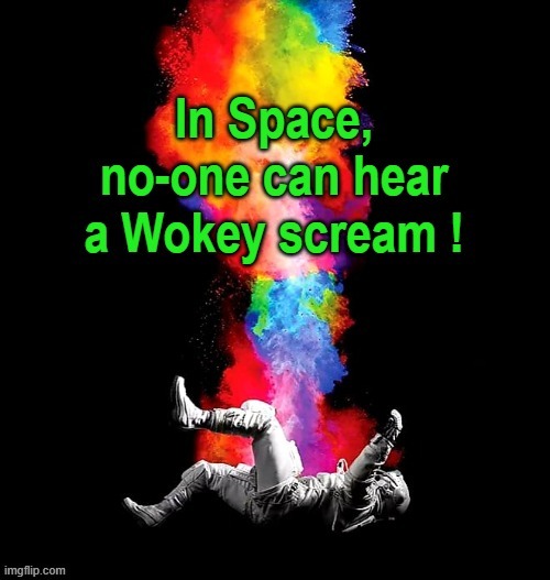 No-one can hear you ! | image tagged in lost in space | made w/ Imgflip meme maker