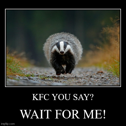 HUNGRY BADGER | image tagged in funny,demotivationals | made w/ Imgflip demotivational maker