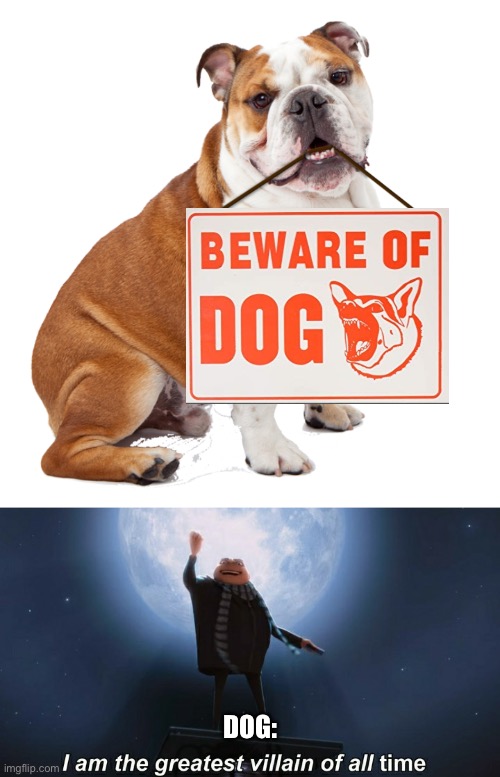 Beware of doggo | DOG: | image tagged in bulldog holding blank sign,i am the greatest villain of all time,memes | made w/ Imgflip meme maker