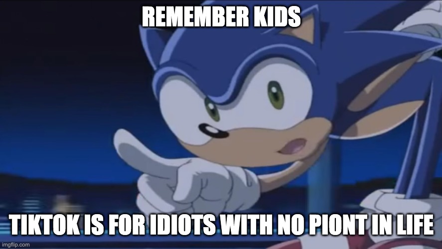 tiktok stinks | REMEMBER KIDS; TIKTOK IS FOR IDIOTS WITH NO PIONT IN LIFE | image tagged in kids don't - sonic x | made w/ Imgflip meme maker