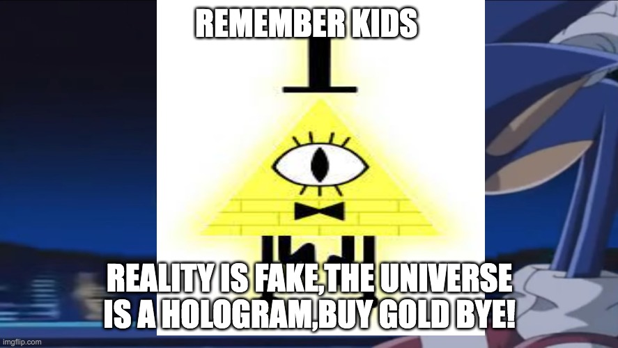 bill pls come back | REMEMBER KIDS; REALITY IS FAKE,THE UNIVERSE IS A HOLOGRAM,BUY GOLD BYE! | image tagged in sonic x,gravity falls | made w/ Imgflip meme maker
