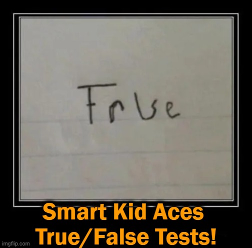 Gets It RIGHT Every Time! | Smart Kid Aces 
True/False Tests! | image tagged in fun,funny,smart,smort,true,false | made w/ Imgflip meme maker