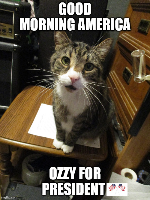 GOOD MORNING AMERICA; OZZY FOR PRESIDENT | image tagged in ozzy for president,good morning america ozzy | made w/ Imgflip meme maker