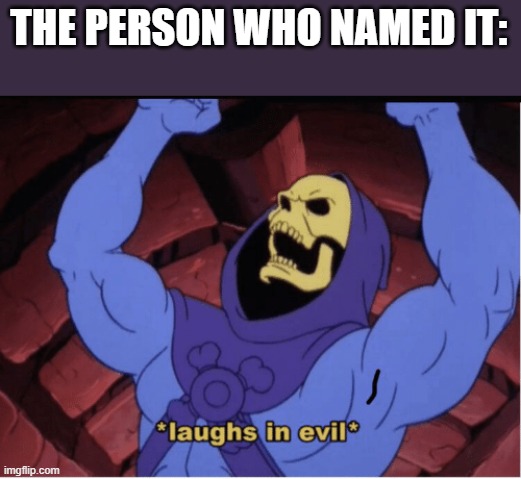 Laughs in evil | THE PERSON WHO NAMED IT: | image tagged in laughs in evil | made w/ Imgflip meme maker