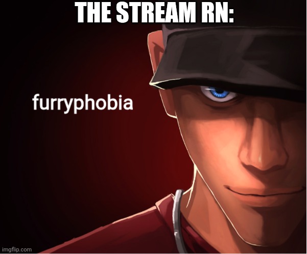 furryphobia | THE STREAM RN: | image tagged in furryphobia | made w/ Imgflip meme maker