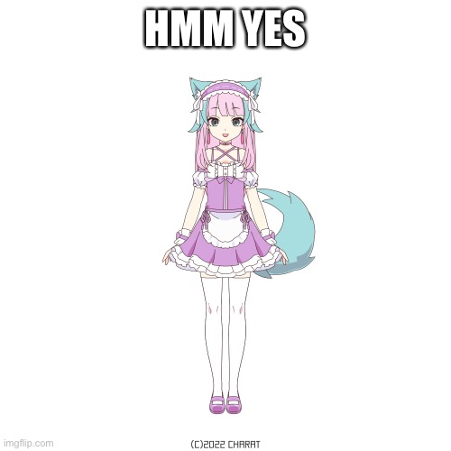 Furry in maid suit | HMM YES | image tagged in furry in maid suit | made w/ Imgflip meme maker