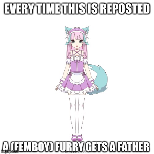 Furry in maid suit | EVERY TIME THIS IS REPOSTED; A (FEMBOY) FURRY GETS A FATHER | image tagged in furry in maid suit | made w/ Imgflip meme maker