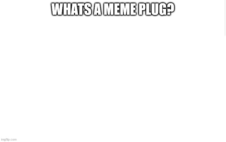 Blank meme template | WHATS A MEME PLUG? | image tagged in blank meme template | made w/ Imgflip meme maker
