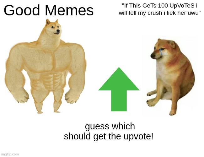 haha | Good Memes; "If ThIs GeTs 100 UpVoTeS i will tell my crush i liek her uwu"; guess which should get the upvote! | image tagged in memes,buff doge vs cheems | made w/ Imgflip meme maker