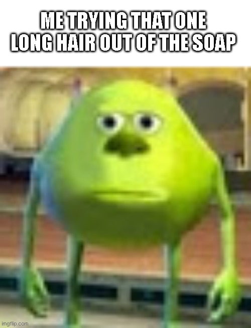 I hate this so MUCH |  ME TRYING THAT ONE LONG HAIR OUT OF THE SOAP | image tagged in sully wazowski,relatable,unfunny,fun | made w/ Imgflip meme maker