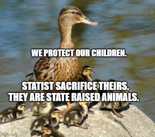 Mother duck | WE PROTECT OUR CHILDREN. STATIST SACRIFICE THEIRS. THEY ARE STATE RAISED ANIMALS. | image tagged in mother duck | made w/ Imgflip meme maker