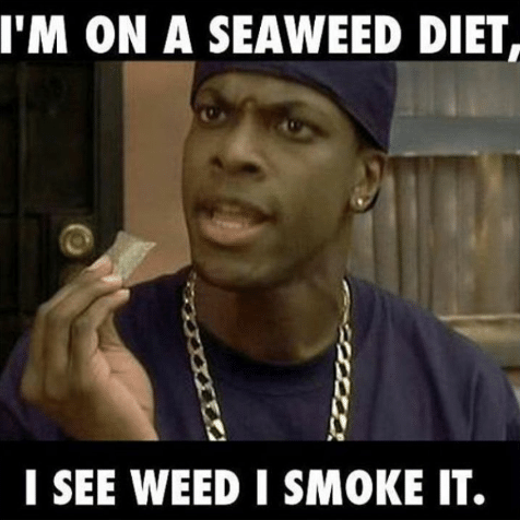 High Quality Seaweed diet Craig Blank Meme Template