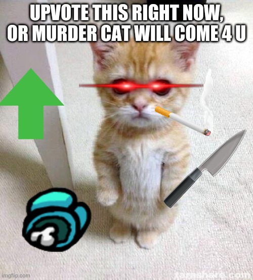 sorry for upvote begging :( | UPVOTE THIS RIGHT NOW, OR MURDER CAT WILL COME 4 U | image tagged in memes,cute cat | made w/ Imgflip meme maker