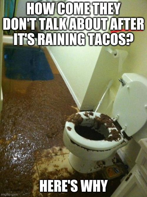 ITS RAINING CRAP! | HOW COME THEY DON'T TALK ABOUT AFTER IT'S RAINING TACOS? HERE'S WHY | image tagged in poop,crap,taco bell,bathroom | made w/ Imgflip meme maker