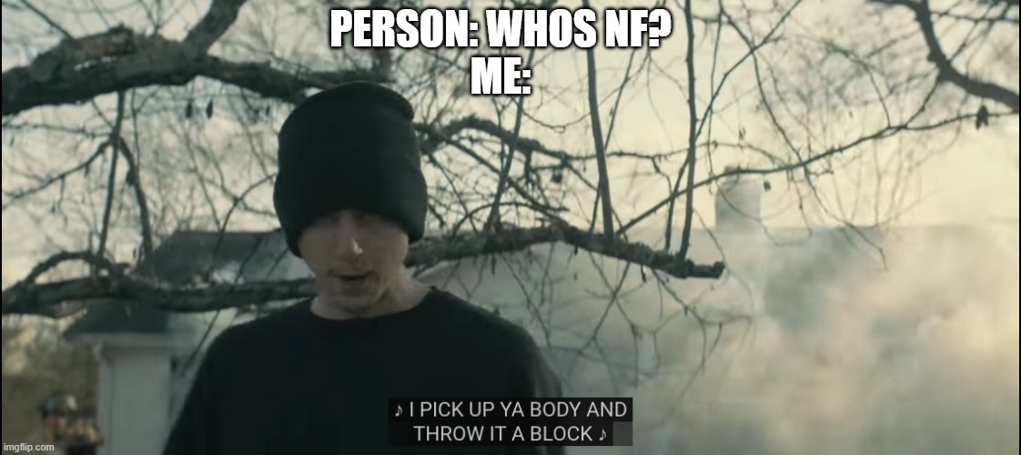 NF meme temp | PERSON: WHOS NF?
ME: | image tagged in nf meme temp | made w/ Imgflip meme maker