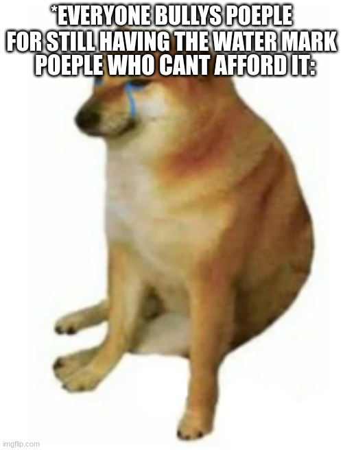  *EVERYONE BULLYS POEPLE FOR STILL HAVING THE WATER MARK; POEPLE WHO CANT AFFORD IT: | image tagged in sad doge | made w/ Imgflip meme maker