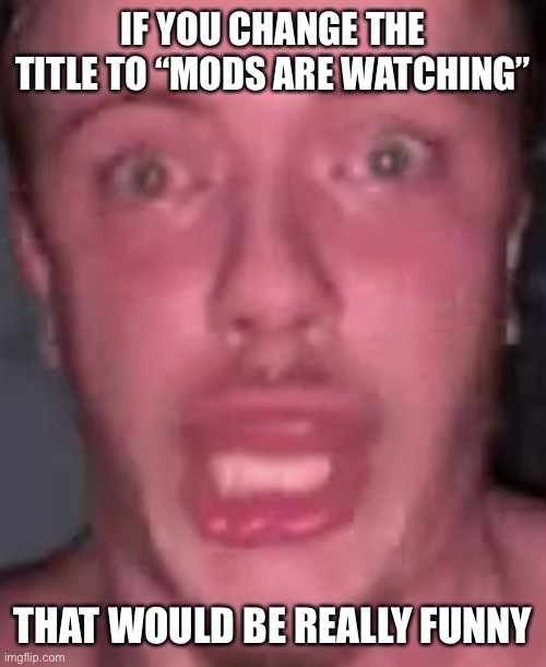 I’m watching the mods since I’m an owner (Peach) | IF YOU CHANGE THE TITLE TO “MODS ARE WATCHING”; THAT WOULD BE REALLY FUNNY | made w/ Imgflip meme maker