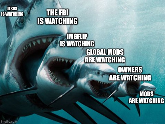 Shark eating shark | JESUS IS WATCHING; THE FBI IS WATCHING; IMGFLIP IS WATCHING; GLOBAL MODS ARE WATCHING; OWNERS ARE WATCHING; MODS ARE WATCHING | image tagged in shark eating shark | made w/ Imgflip meme maker