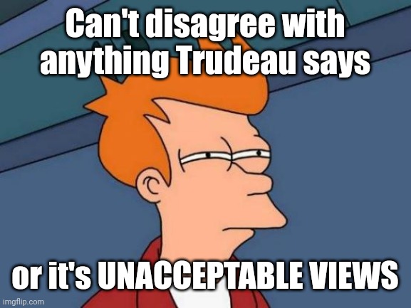 Reminds me of when Charlie Chaplin was running Germany | Can't disagree with anything Trudeau says; or it's UNACCEPTABLE VIEWS | image tagged in memes,futurama fry,justin trudeau | made w/ Imgflip meme maker