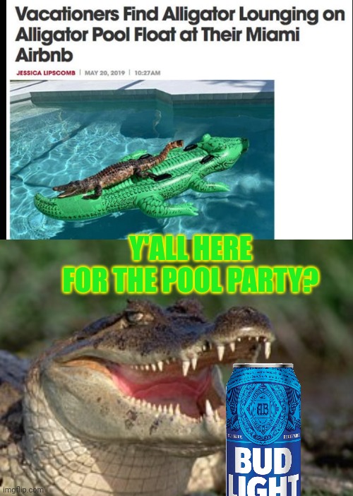 The mods are asleep. Quick, post gators! | Y'ALL HERE FOR THE POOL PARTY? | image tagged in alligator,gators,florida,pool,party | made w/ Imgflip meme maker