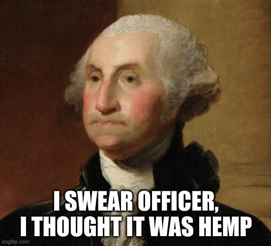 hemp |  I SWEAR OFFICER, I THOUGHT IT WAS HEMP | image tagged in weed,smoke weed everyday,history | made w/ Imgflip meme maker