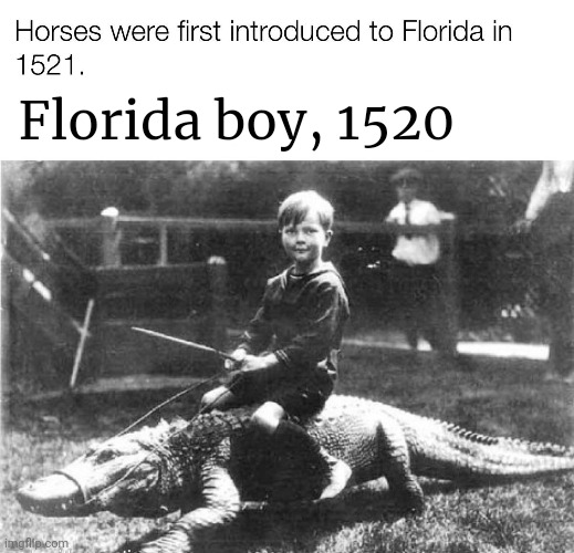 Florida boy problems | Florida boy, 1520 | image tagged in alligator,florida man,problems,riding,but why why would you do that | made w/ Imgflip meme maker