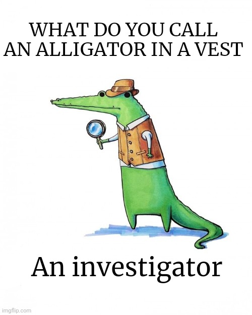The mods are asleep. Quick post alligators | WHAT DO YOU CALL AN ALLIGATOR IN A VEST; An investigator | image tagged in alligators,bad pun,its time to stop,investigation | made w/ Imgflip meme maker
