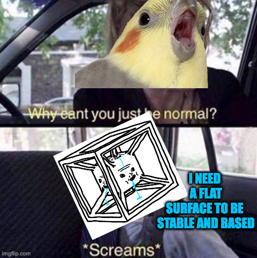 REpost | I NEED 
A FLAT
SURFACE TO BE 
STABLE AND BASED | image tagged in why can't you just be normal | made w/ Imgflip meme maker