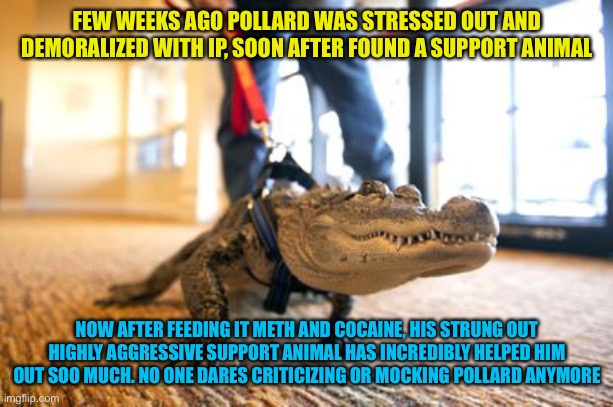 Success one day at a time. Alligators March while the mods are asleep | FEW WEEKS AGO POLLARD WAS STRESSED OUT AND DEMORALIZED WITH IP, SOON AFTER FOUND A SUPPORT ANIMAL; NOW AFTER FEEDING IT METH AND COCAINE, HIS STRUNG OUT HIGHLY AGGRESSIVE SUPPORT ANIMAL HAS INCREDIBLY HELPED HIM OUT SOO MUCH. NO ONE DARES CRITICIZING OR MOCKING POLLARD ANYMORE | image tagged in csp alligator march,yea ima get on this | made w/ Imgflip meme maker