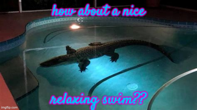 how about a nice relaxing swim?? | made w/ Imgflip meme maker
