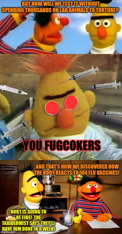 Stop torturing Bort | BUT HOW WILL WE TEST IT WITHOUT SPENDING THOUSANDS ON LAB ANIMALS TO TORTURE? YOU FUGCOKERS | image tagged in sesame street,bort,bert and ernie,science,torture | made w/ Imgflip meme maker